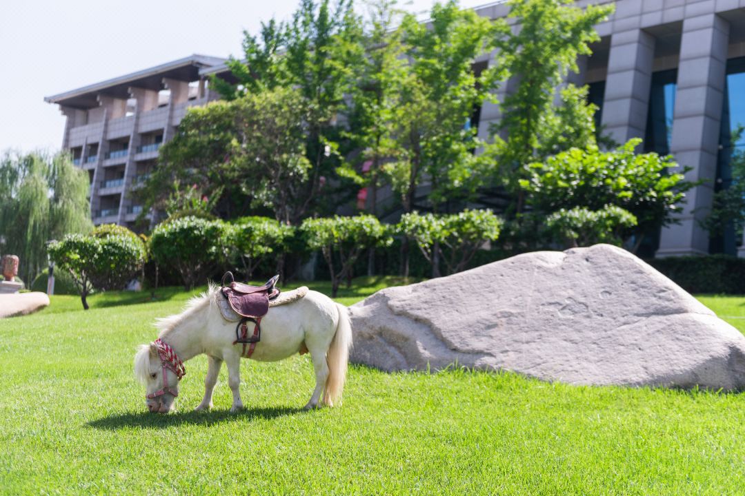 南宫NG·28(中国)最新官方网站