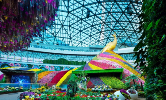 南宫NG·28(中国)最新官方网站