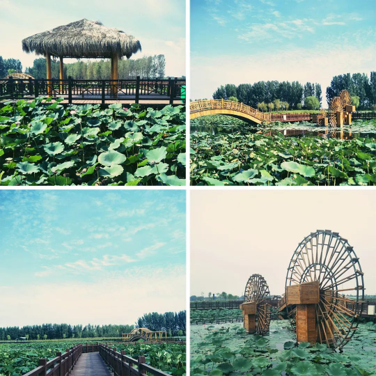 南宫NG·28(中国)最新官方网站