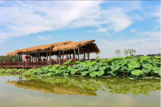 南宫NG·28(中国)最新官方网站