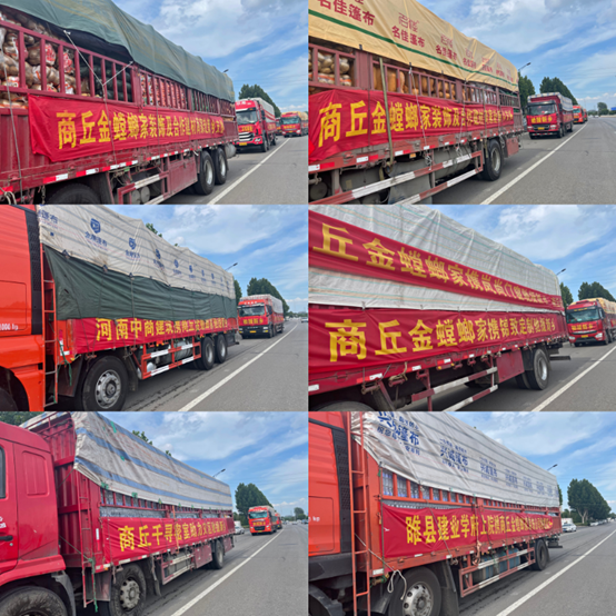 南宫NG·28(中国)最新官方网站